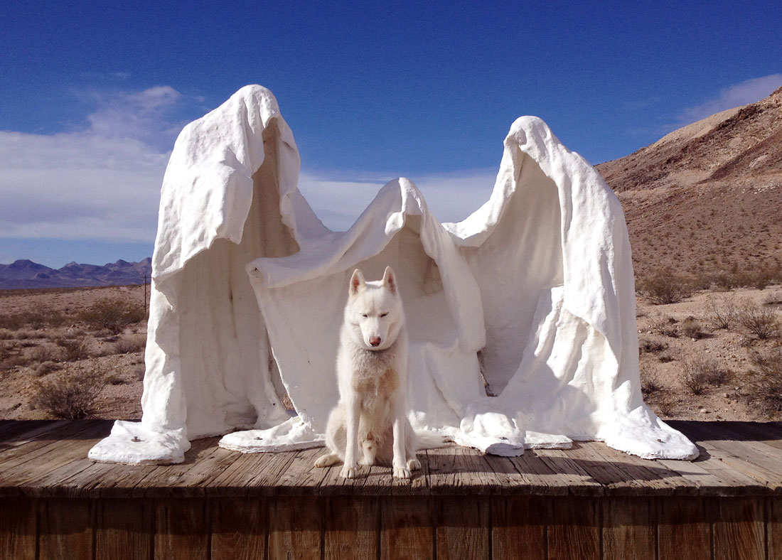 wolf-assis-devant-fantomes