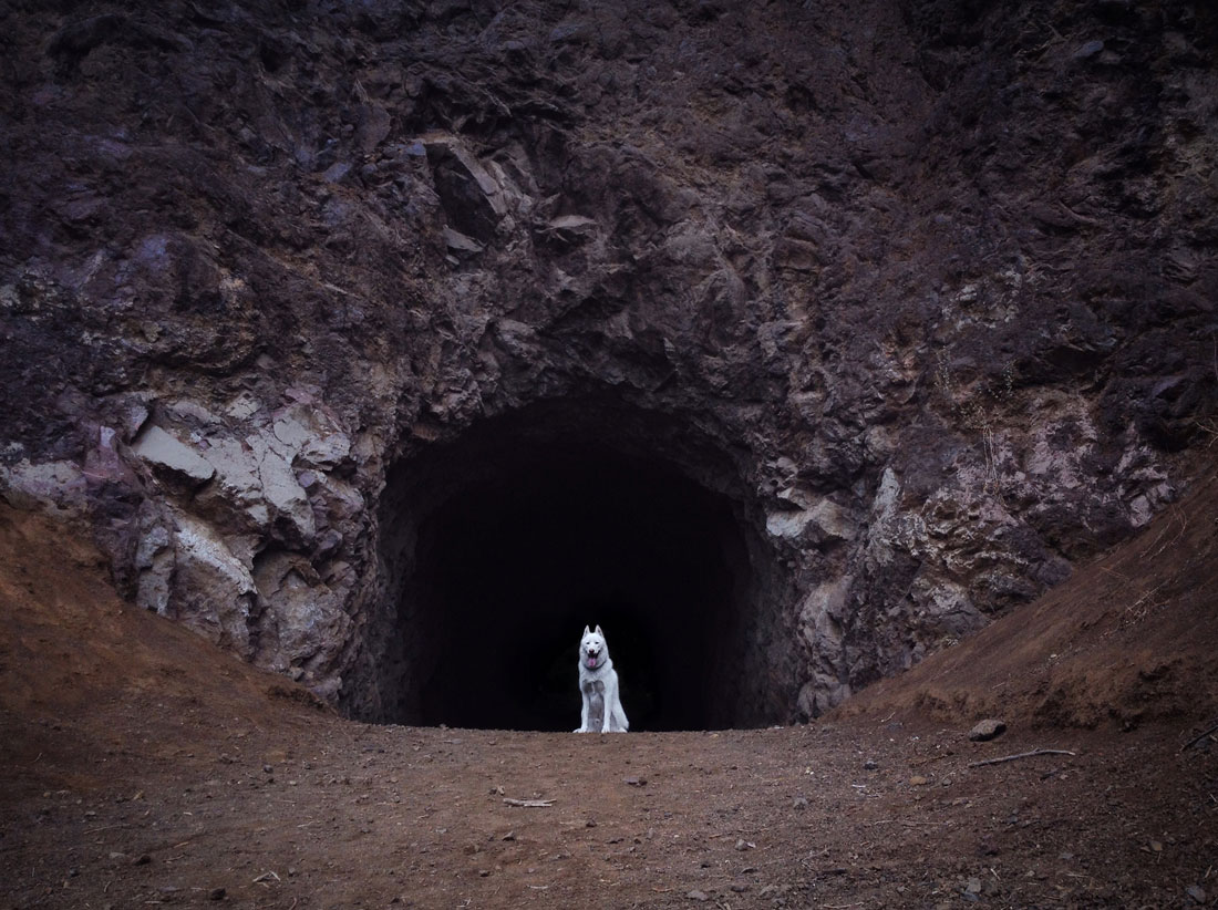 wolf-entree-grotte-bronson-canyon
