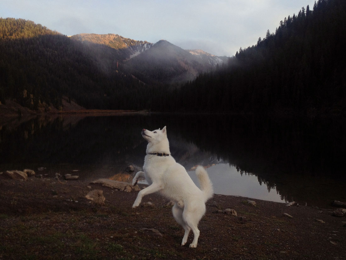 wolfgang-bord-cottonwood-lake--wyoming
