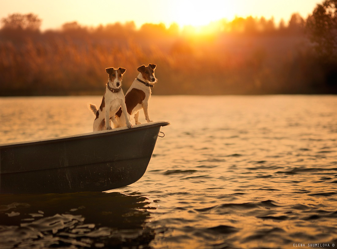 bateau