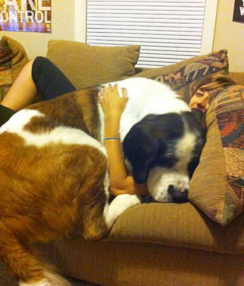 calin