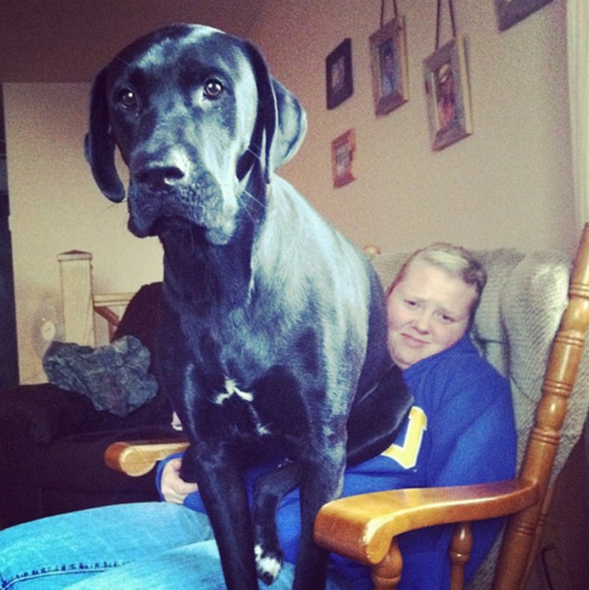 chaise