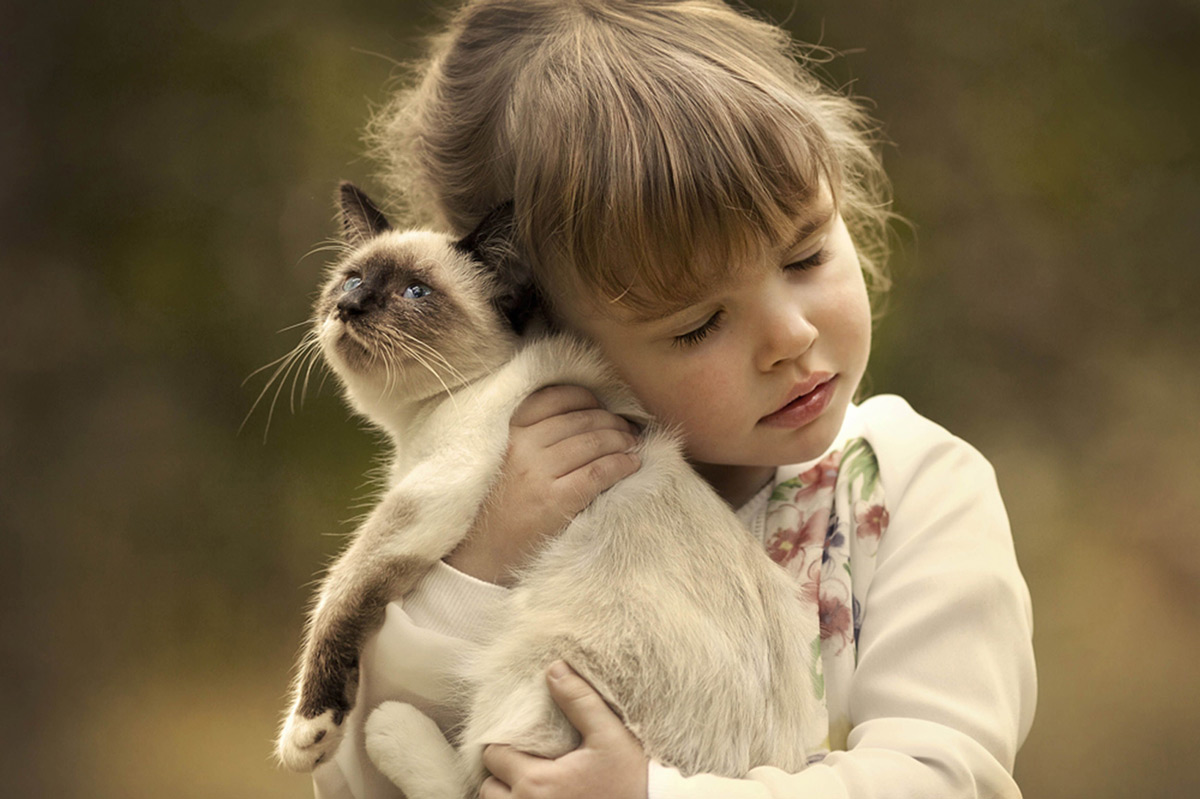 chat