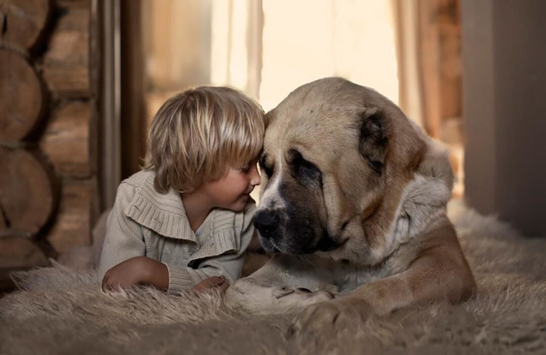 chien