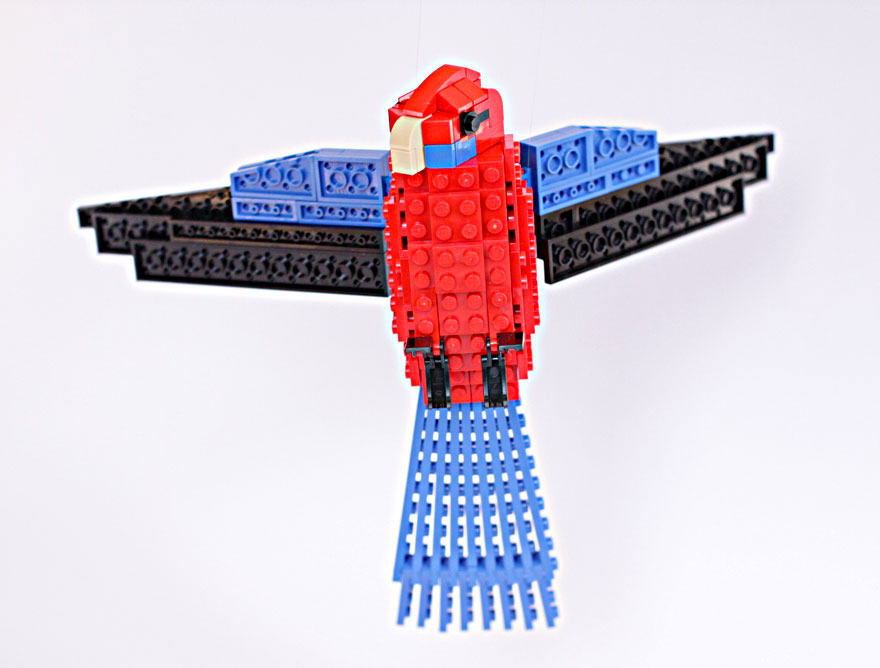 chris-oiseau
