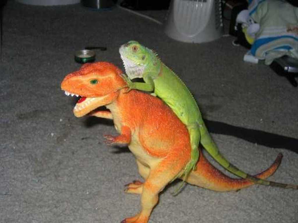 dinosaure