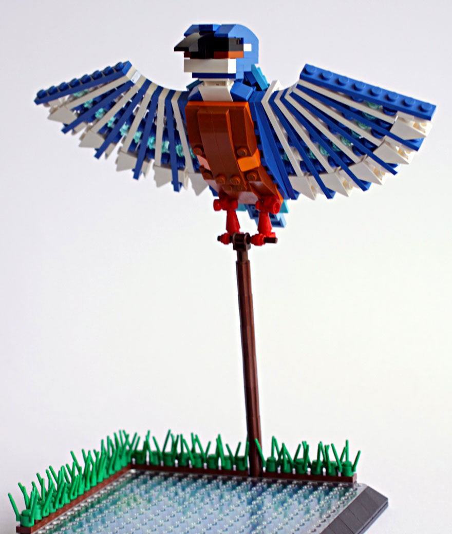 kingsley-kingfisher