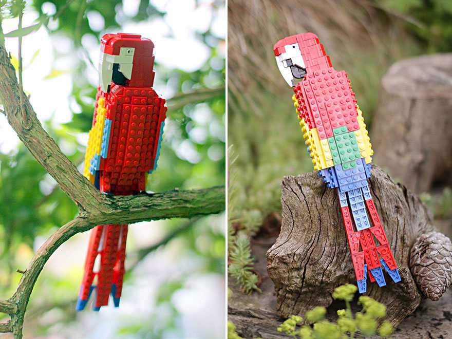 marky-macaw