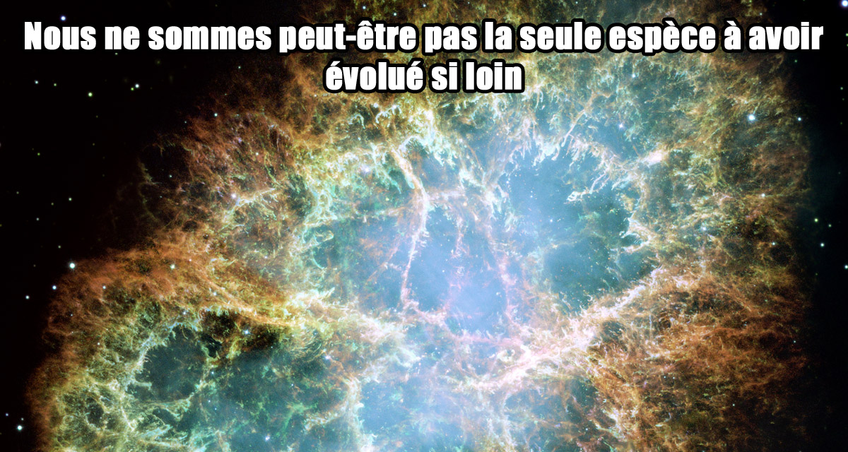 nebuleuse