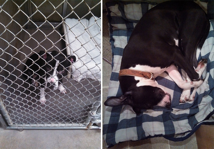 Adoption-Val
