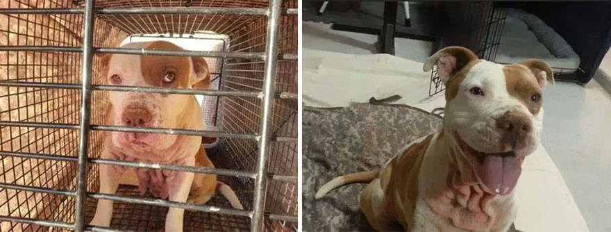 Adoption-Sandy