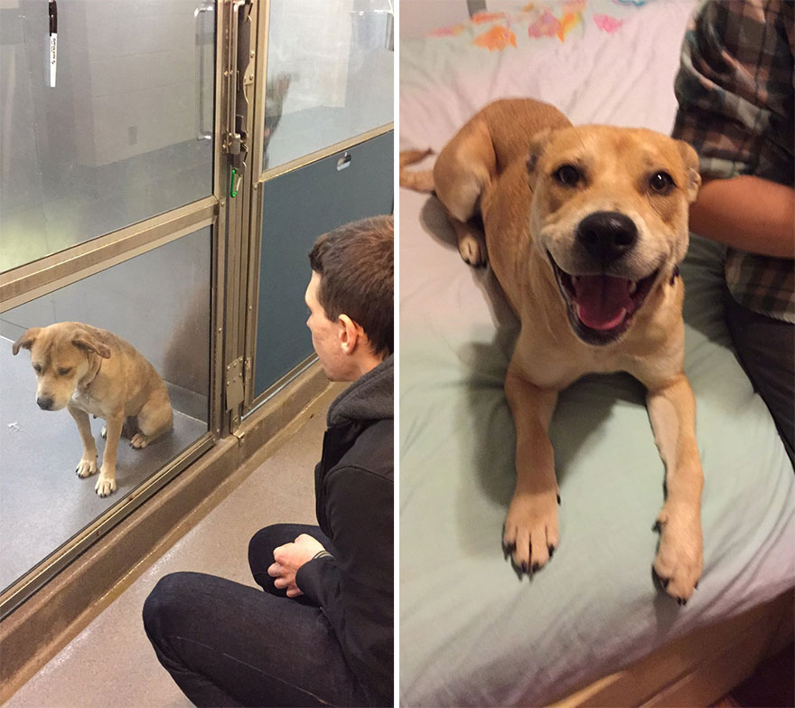 Adoption-Spokey