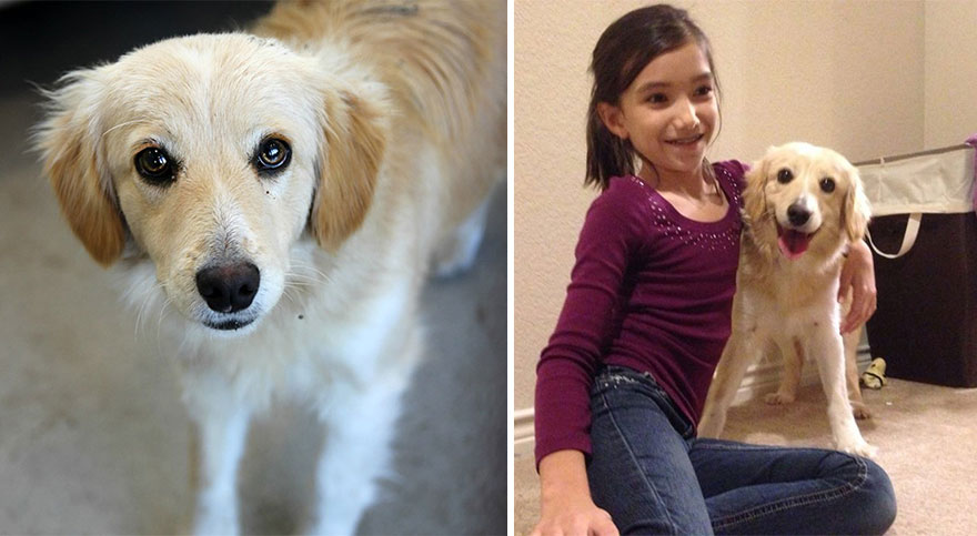 Adoption-Laurel