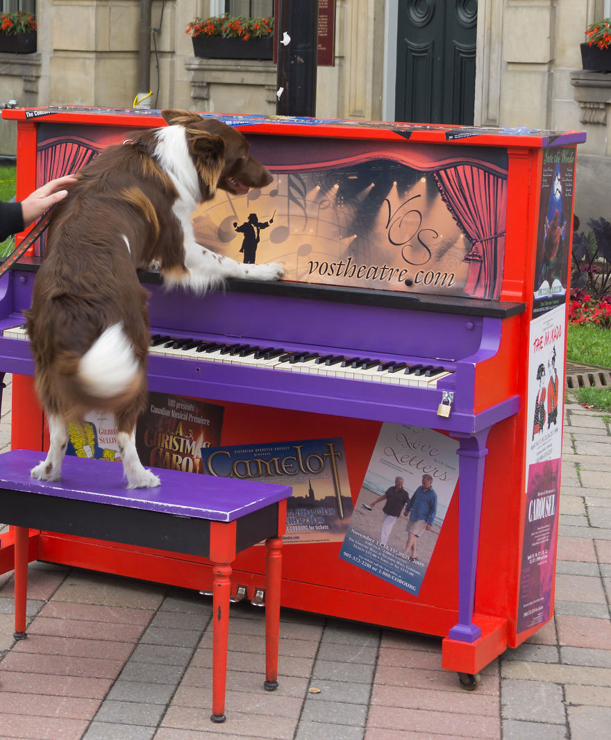 piano-rue-couleurs-art-46