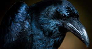 regard