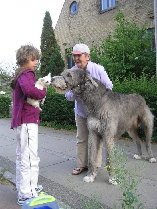 rencontre