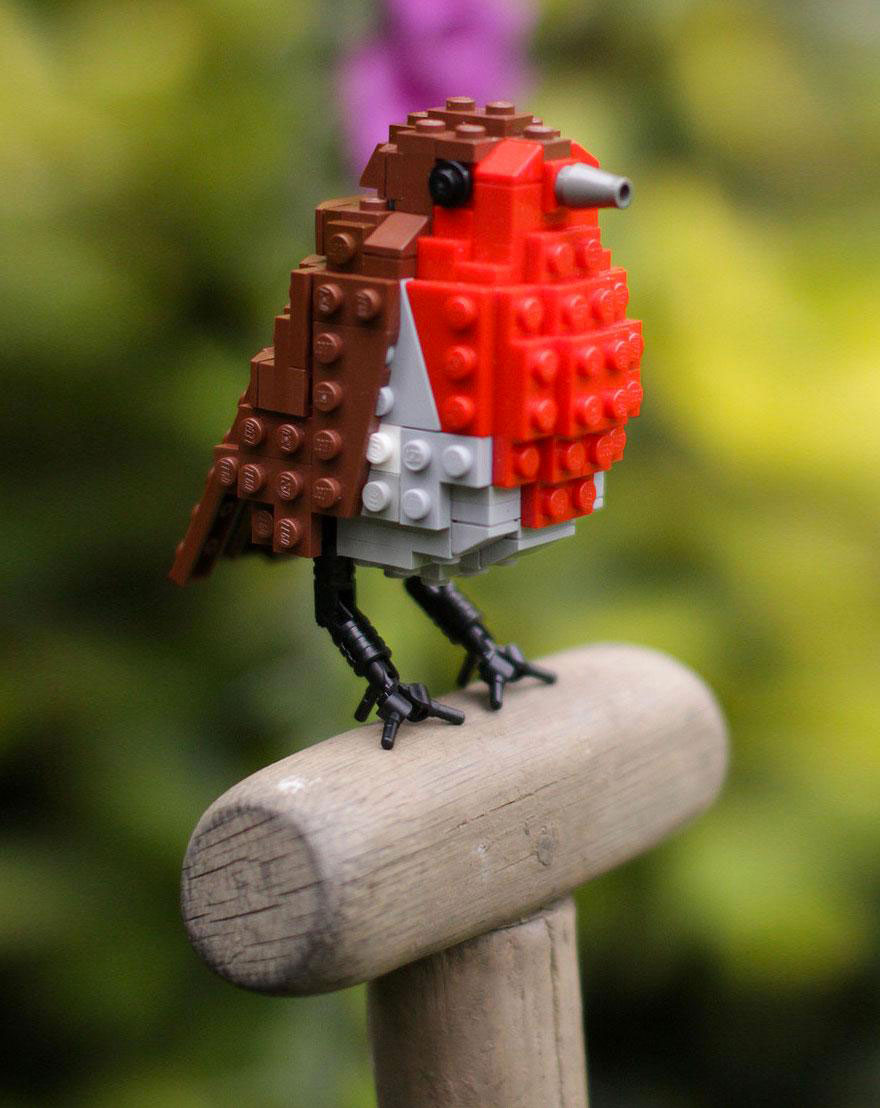 robby-robin