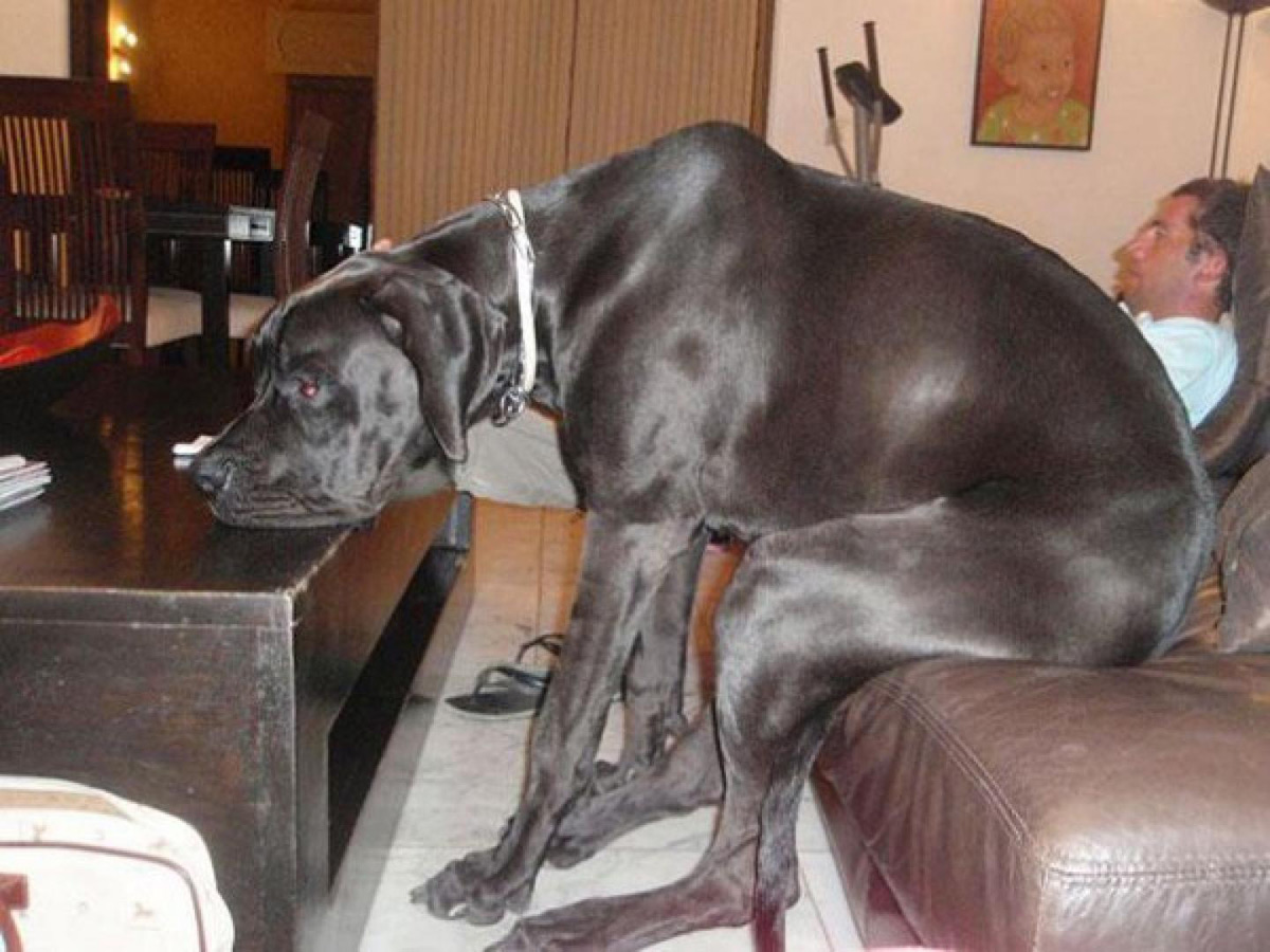 table-basse