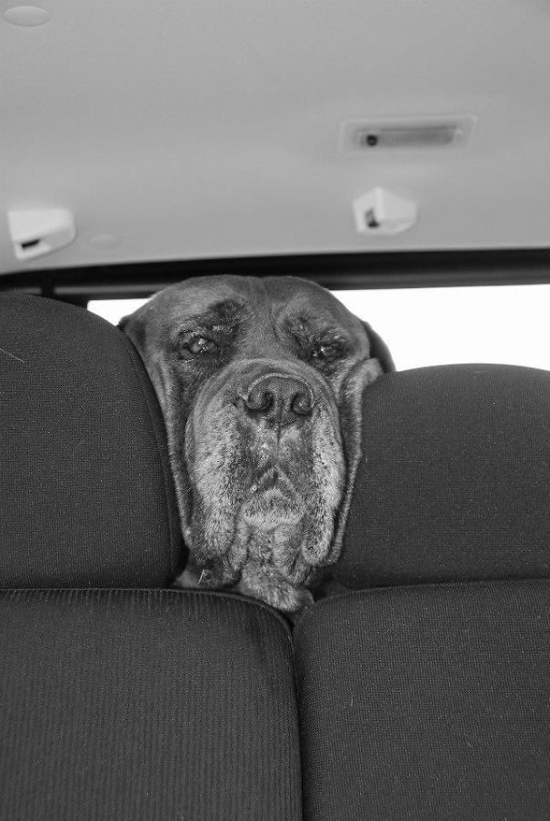 voiture