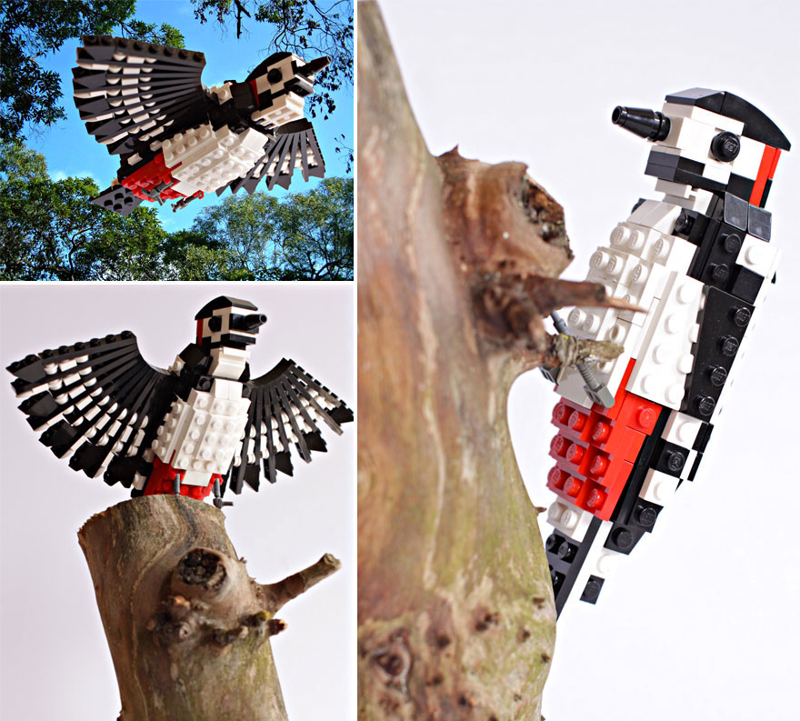 woody-woodpecker