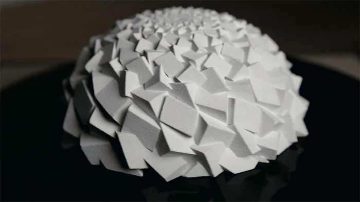 zoe-3