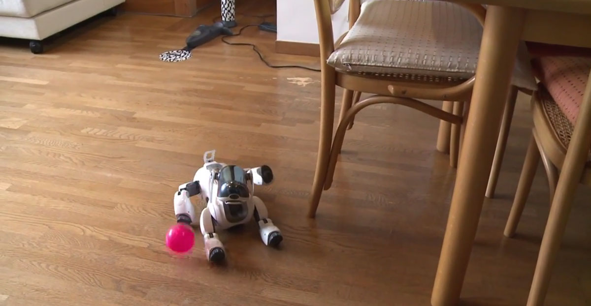 AIBO-4
