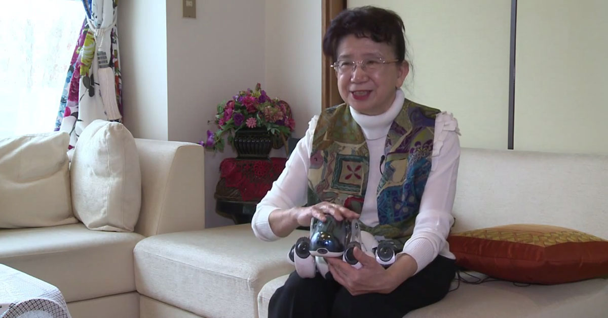 AIBO-3
