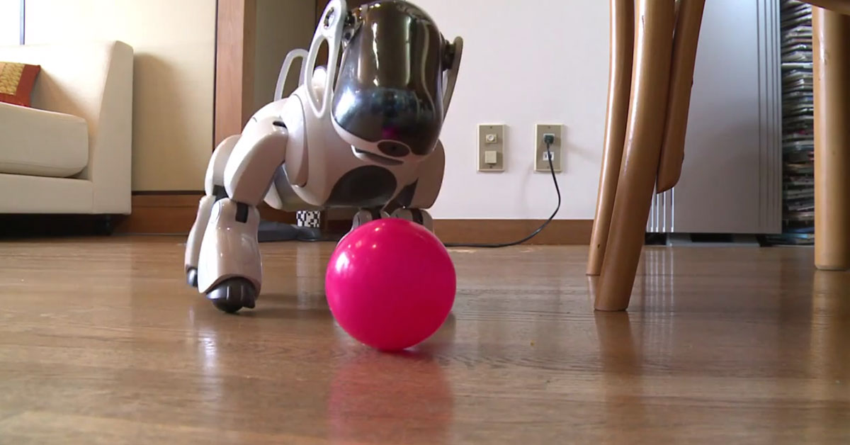 AIBO-1