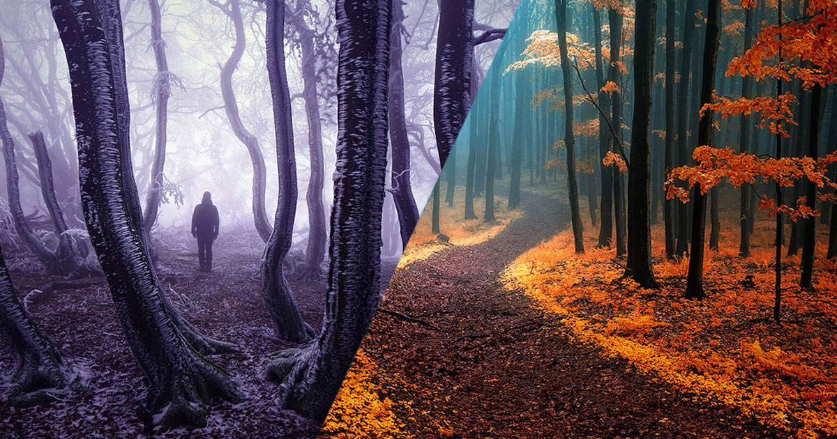 promener-bois-foret