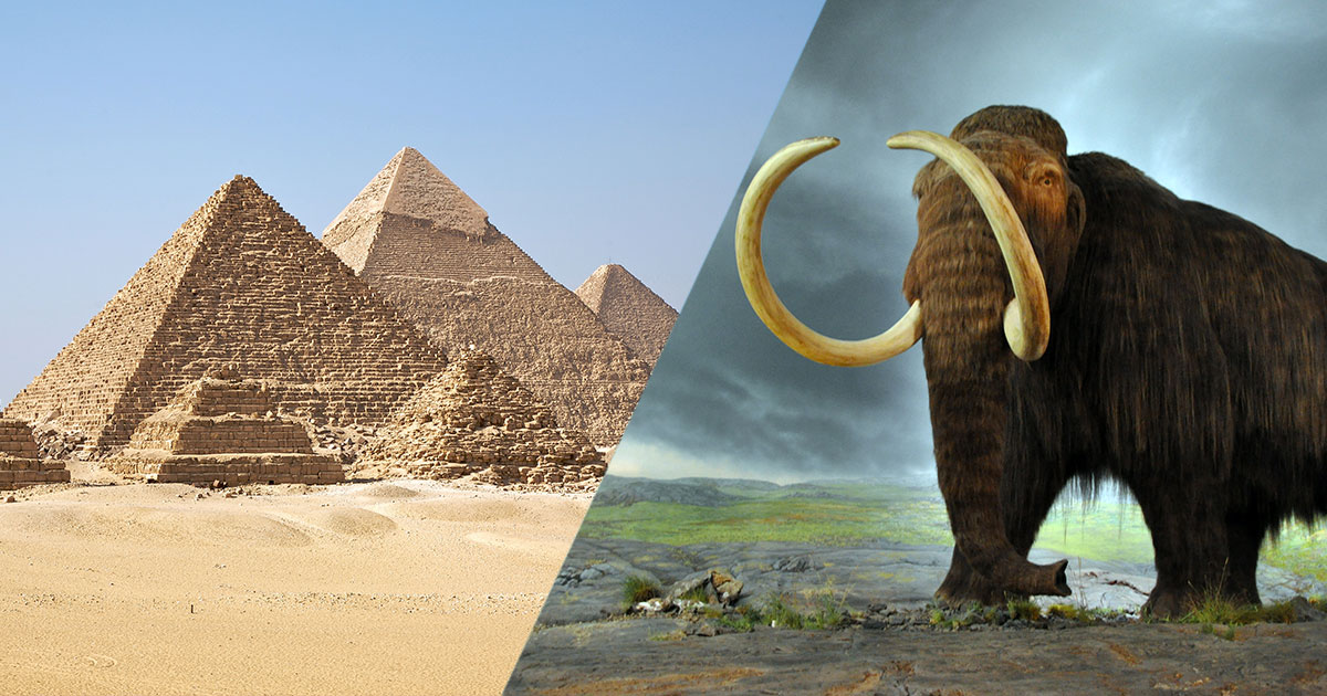 pyramide-mammouth-8