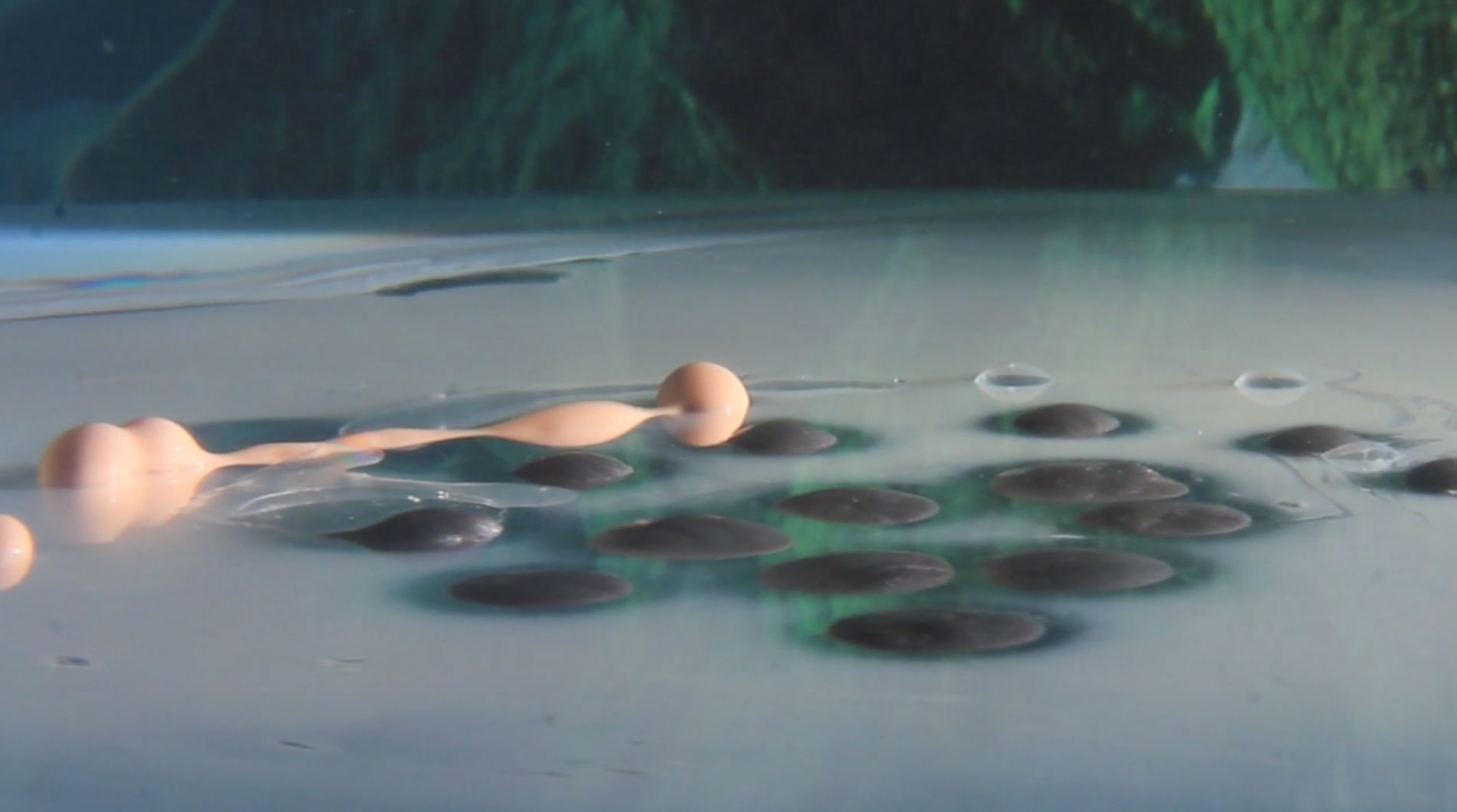 peinture-eau-9