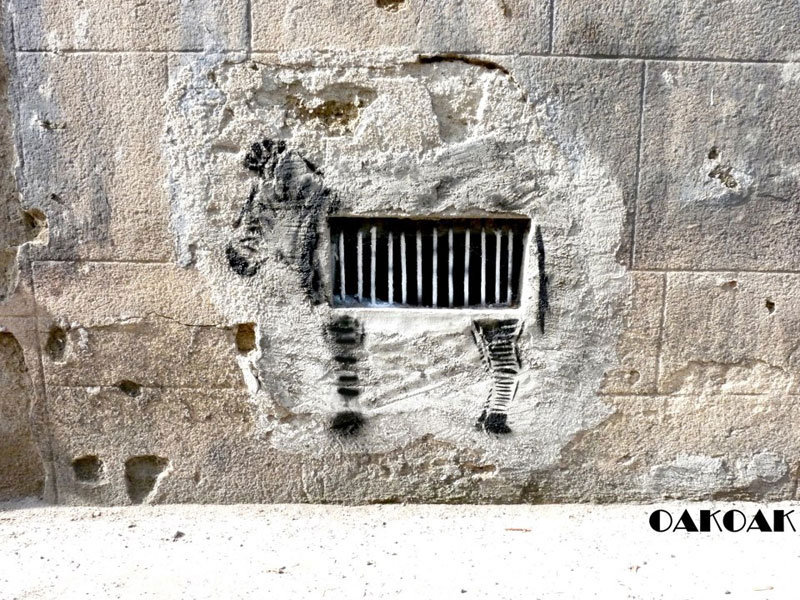 oak-oak-street-art-zebre