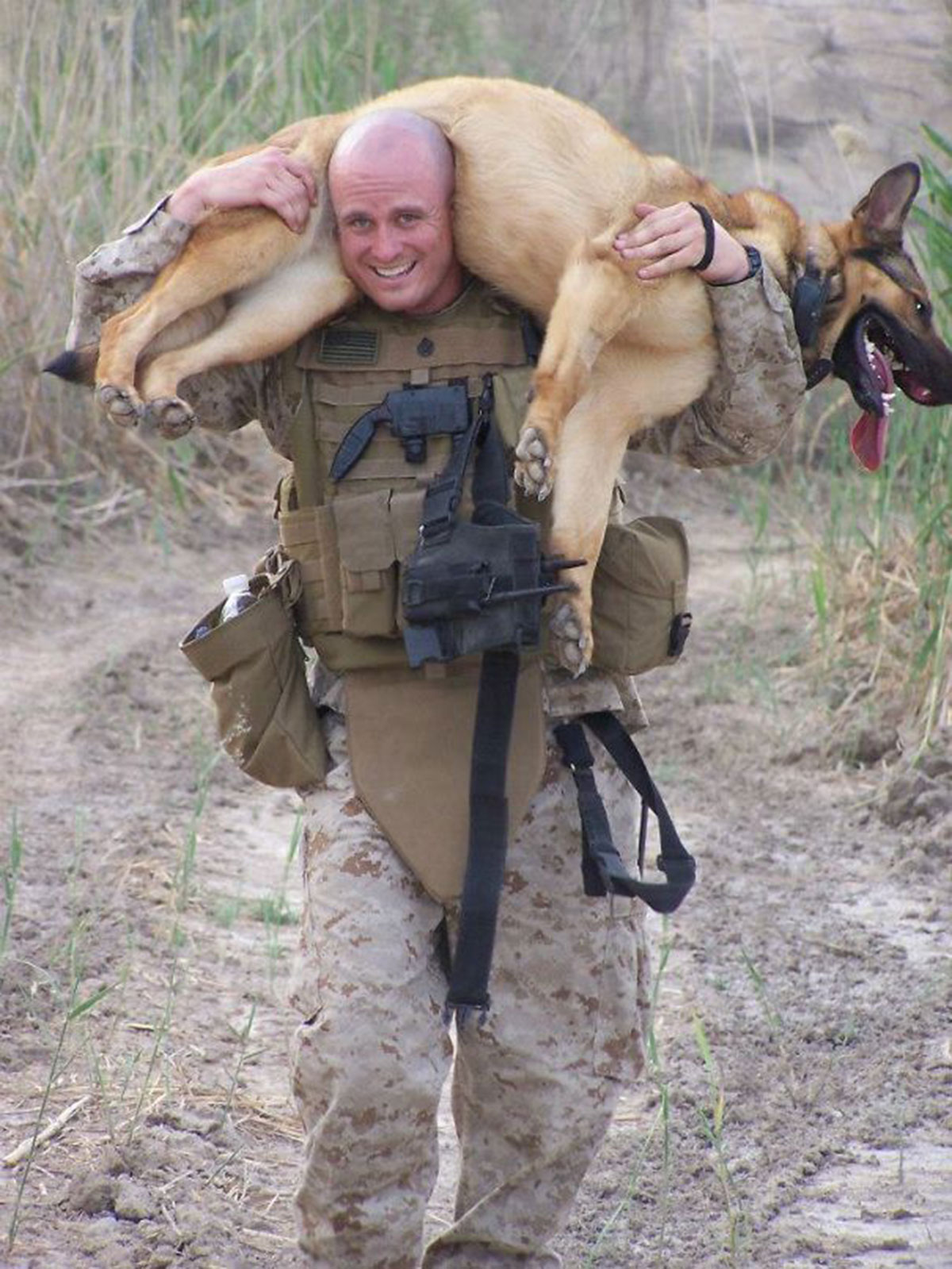 chien-dos-soldat
