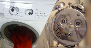 image-animaux-objet