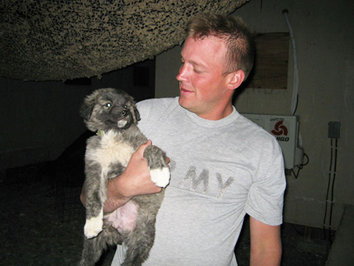 puppy-cute