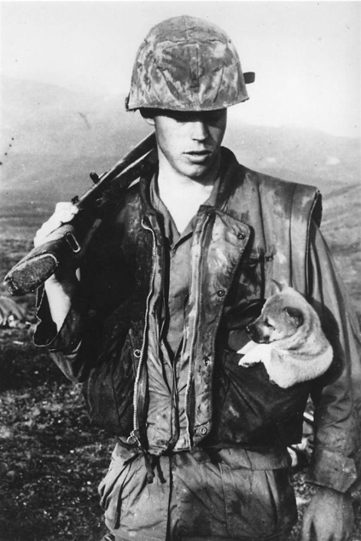 puppy-vietnam