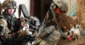 soldats-animaux