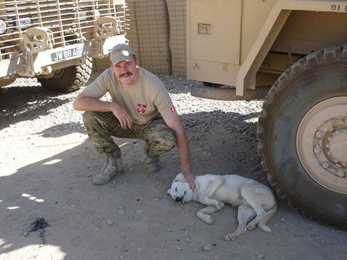 soldier-labrador