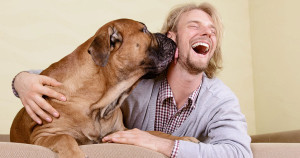 une-chien-bactérie