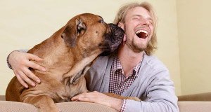 une-chien-bactérie