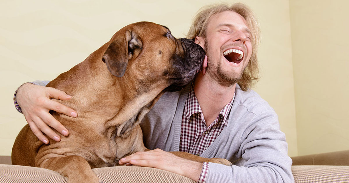 une-chien-bactérie