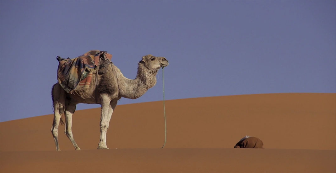3-voyage-maghreb