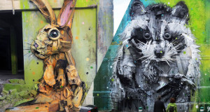 Une-animaux-rue