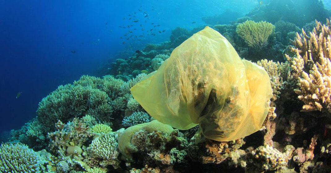 Une-vie-mer-plastique