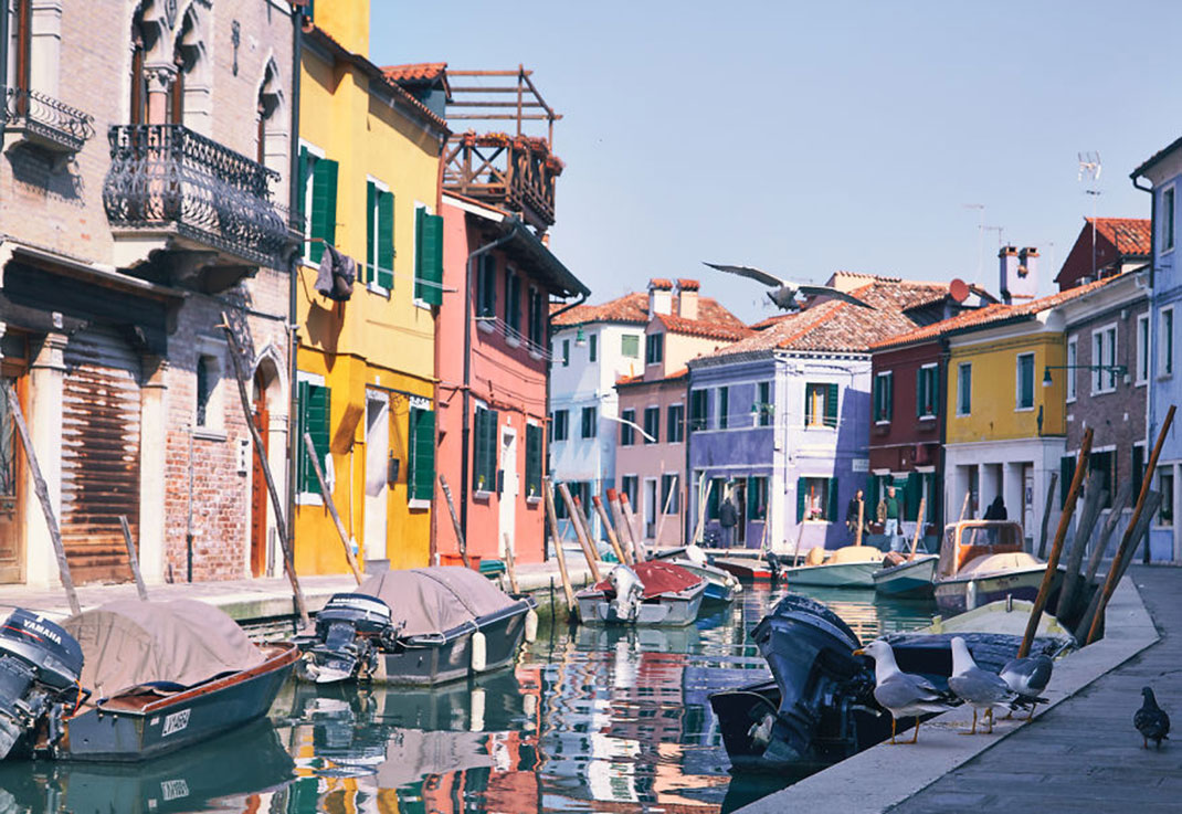 burano-italie-oiseau-vol