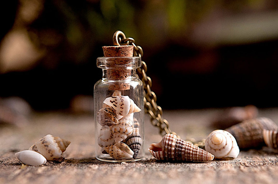 coquillage