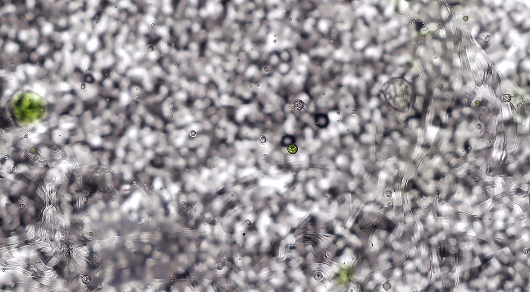 macro-cinema-film-7
