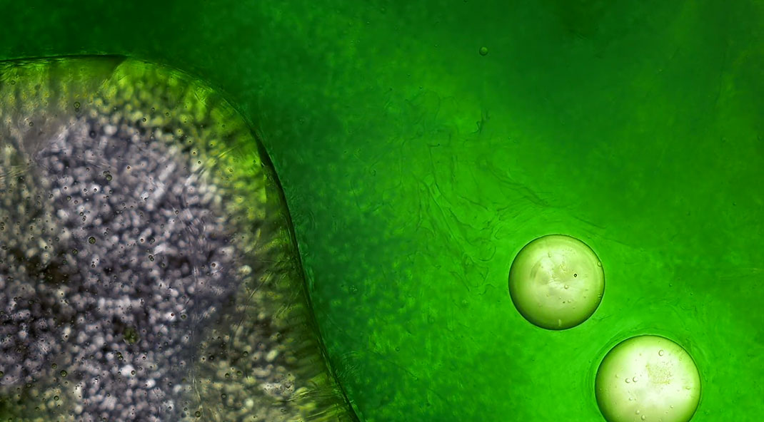macro-cinema-film-9
