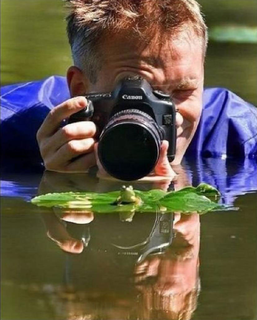 photographe-eau-grenouille