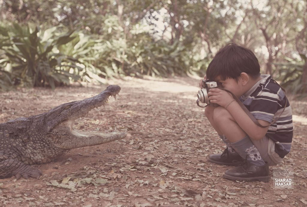 photographe-fou-crocodile